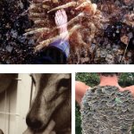 Photographic work by artist Maria Gambino on April 2, 2026